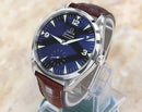 Omega Seamaster Aquaterra Railmaster 2004 Pristine Collectible Watch