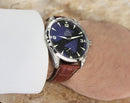 Omega Seamaster Aquaterra Railmaster 2004 Pristine Collectible Watch